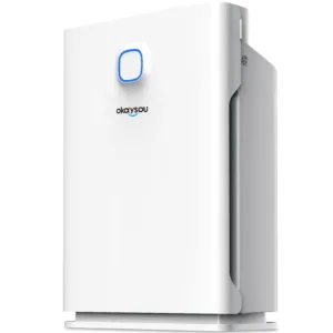 Okaysou Smart Air Purifiers for Home Large Room